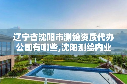 辽宁省沈阳市测绘资质代办公司有哪些,沈阳测绘内业招聘信息。