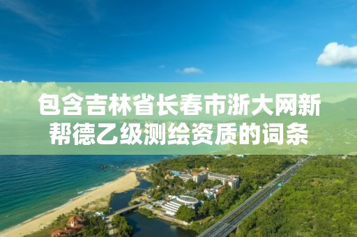 包含吉林省长春市浙大网新帮德乙级测绘资质的词条