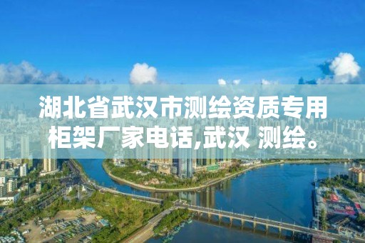 湖北省武汉市测绘资质专用柜架厂家电话,武汉 测绘。