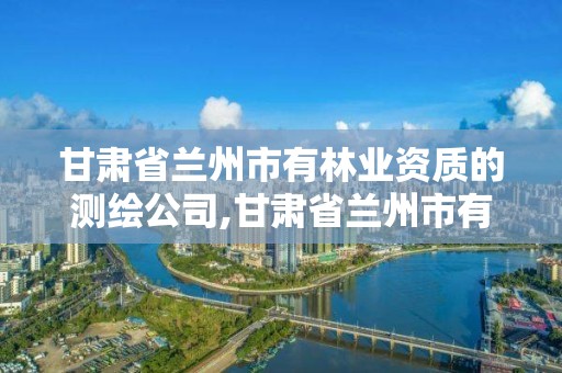 甘肃省兰州市有的测绘公司吗。