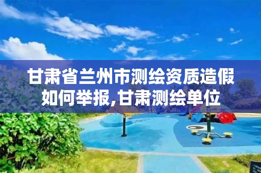 甘肃省兰州市测绘资质造假如何举报,甘肃测绘单位