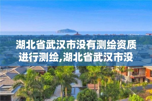 湖北省武汉市没有测绘资质进行测绘,湖北省武汉市没有测绘资质进行测绘的单位