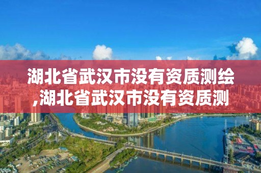 湖北省武汉市没有资质测绘,湖北省武汉市没有资质测绘公司吗