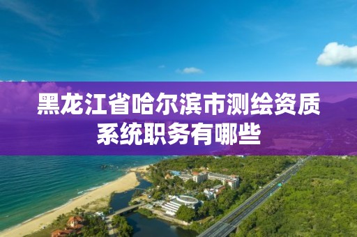 黑龙江省哈尔滨市测绘资质系统职务有哪些