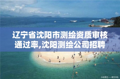 辽宁省沈阳市测绘资质审核通过率,沈阳测绘公司招聘信息最新招聘。