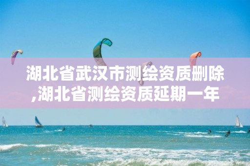 湖北省武汉市测绘资质删除,湖北省测绘资质延期一年