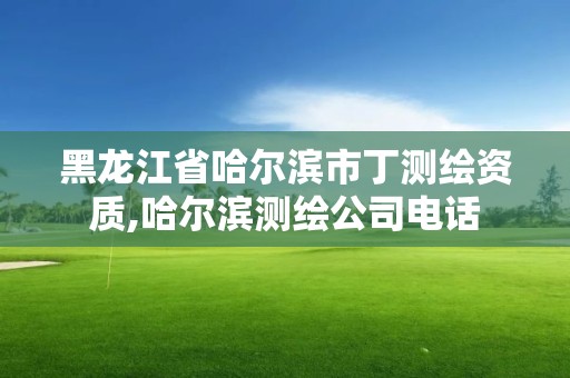 黑龙江省哈尔滨市丁测绘资质,哈尔滨测绘公司电话