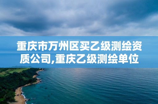 重庆市万州区买乙级测绘资质公司,重庆乙级测绘单位