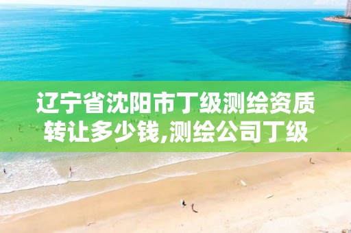 辽宁省沈阳市丁级测绘资质转让多少钱,测绘公司丁级资质。