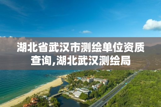 湖北省武汉市测绘单位资质查询,湖北武汉测绘局