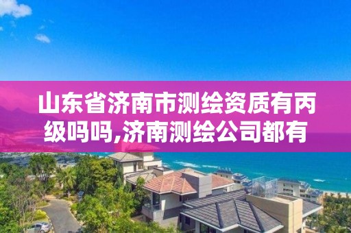 山东省济南市测绘资质有丙级吗吗,济南测绘公司都有哪些