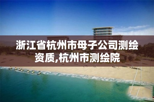 浙江省杭州市母子公司测绘资质,杭州市测绘院