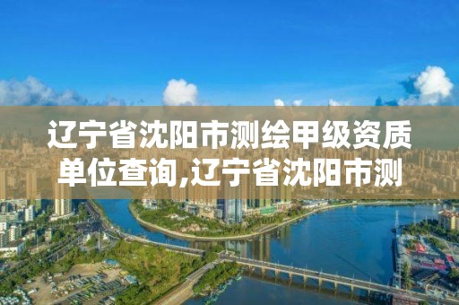 辽宁省沈阳市测绘甲级资质单位查询,辽宁省沈阳市测绘甲级资质单位查询表