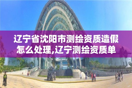 辽宁省沈阳市测绘资质造假怎么处理,辽宁测绘资质单位