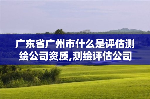 广东省广州市什么是评估测绘公司资质,测绘评估公司是做什么的