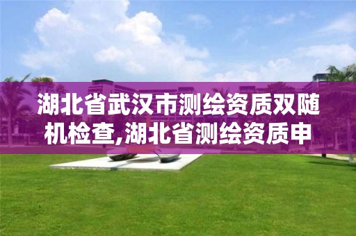 湖北省武汉市测绘资质双随机检查,湖北省测绘资质申请