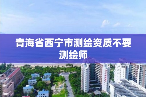 青海省西宁市测绘资质不要测绘师