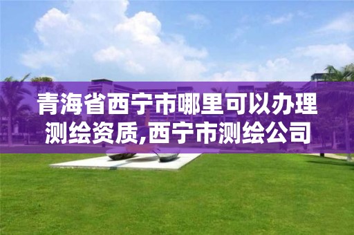 青海省西宁市哪里可以办理测绘资质,西宁市测绘公司