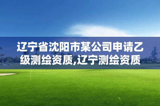 辽宁省沈阳市某公司申请乙级测绘资质,辽宁测绘资质查询。