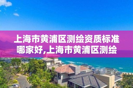 上海市黄浦区测绘资质标准哪家好,上海市黄浦区测绘中心