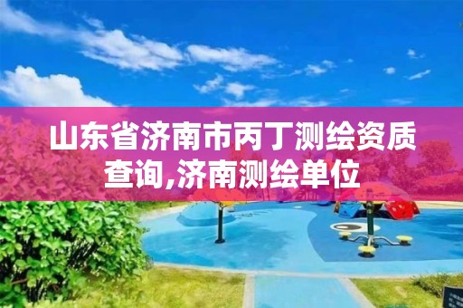 山东省济南市丙丁测绘资质查询,济南测绘单位