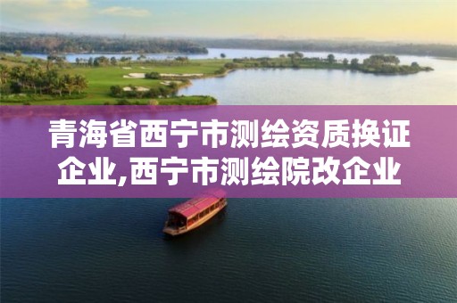 青海省西宁市测绘资质换证企业,西宁市测绘院改企业