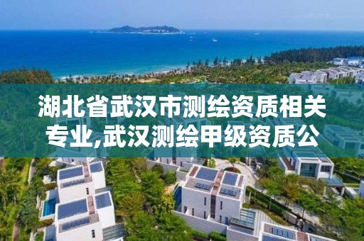 湖北省武汉市测绘资质相关专业,武汉测绘甲级资质公司