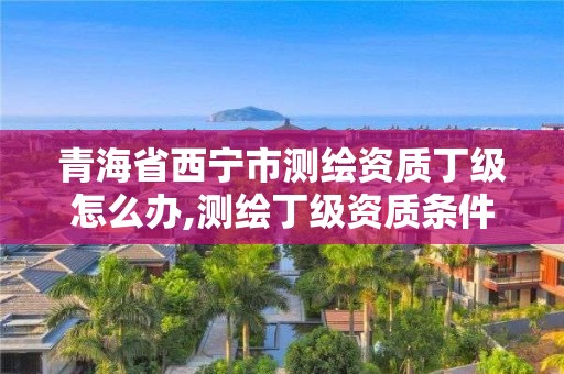 青海省西宁市测绘资质丁级怎么办,测绘丁级资质条件。