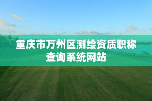 重庆市万州区测绘资质职称查询系统网站