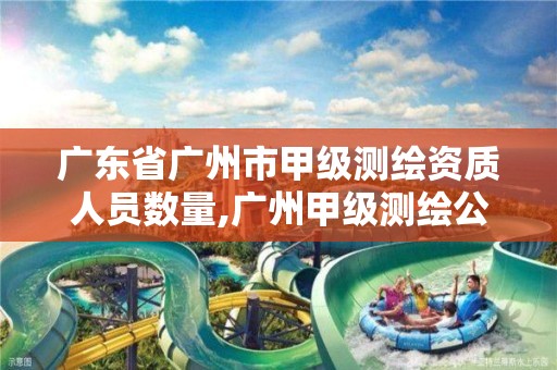 广东省广州市甲级测绘资质人员数量,广州甲级测绘公司