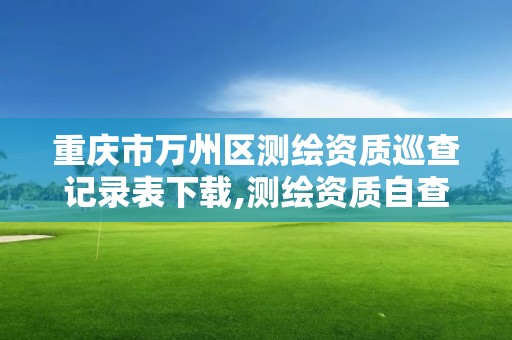 重庆市万州区测绘资质巡查记录表下载,测绘资质自查情况表如何填写