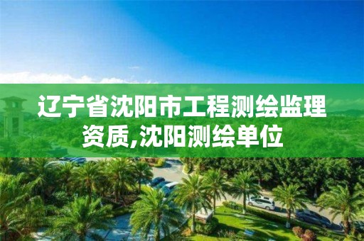 辽宁省沈阳市工程测绘监理资质,沈阳测绘单位