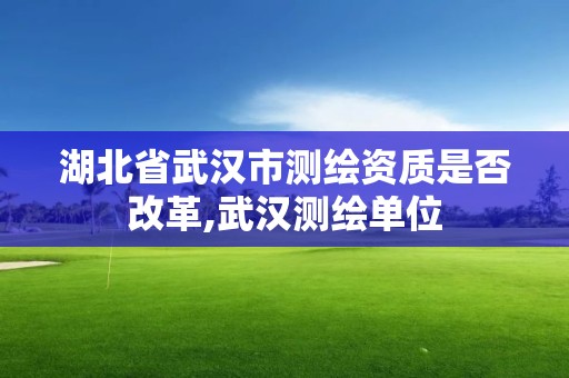 湖北省武汉市测绘资质是否改革,武汉测绘单位