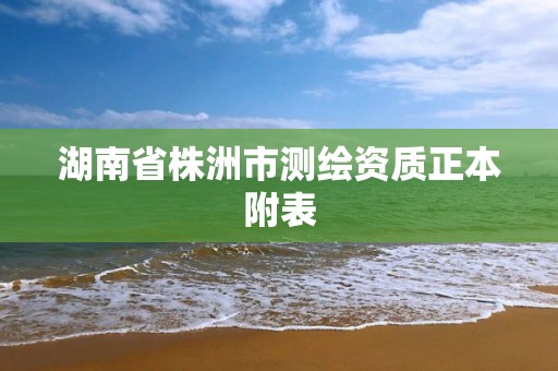 湖南省株洲市测绘资质正本附表