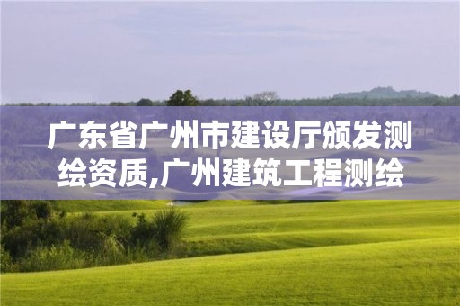 广东省广州市建设厅颁发测绘资质,广州建筑工程测绘。