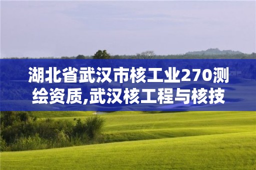 湖北省武汉市核工业270测绘资质,武汉核工程与核技术招聘