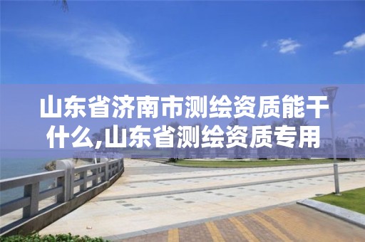 山东省济南市测绘资质能干什么,山东省测绘资质专用章图片