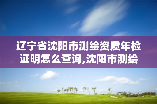 辽宁省沈阳市测绘资质年检证明怎么查询,沈阳市测绘局官网。