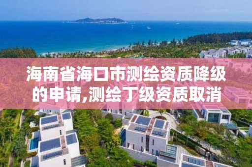 海南省海口市测绘资质降级的申请,测绘丁级资质取消