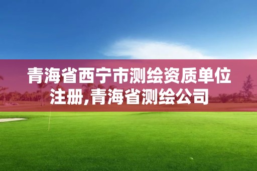 青海省西宁市测绘资质单位注册,青海省测绘公司