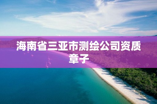 海南省三亚市测绘公司资质章子