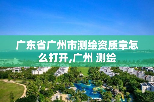 广东省广州市测绘资质章怎么打开,广州 测绘