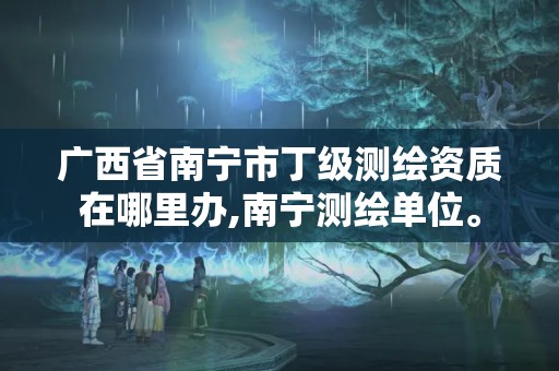 广西省南宁市丁级测绘资质在哪里办,南宁测绘单位。