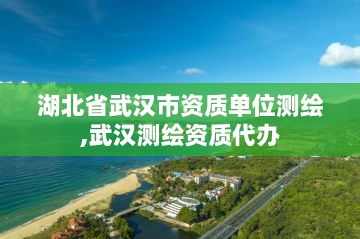 湖北省武汉市资质单位测绘,武汉测绘资质代办