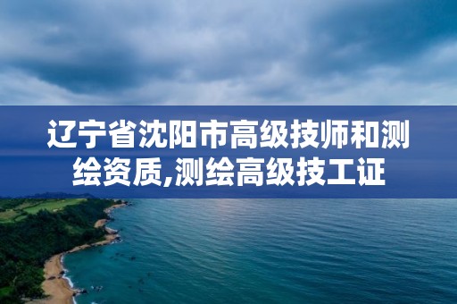 辽宁省沈阳市高级技师和测绘资质,测绘高级技工证