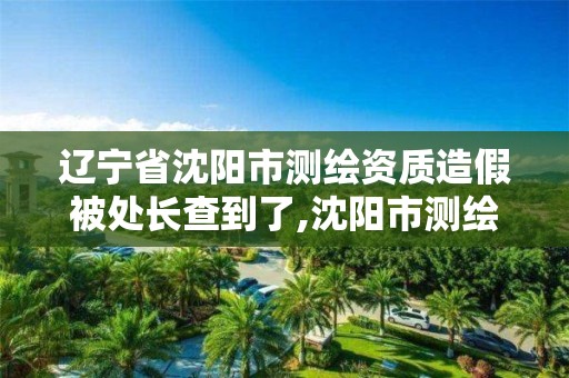 辽宁省沈阳市测绘资质造假被处长查到了,沈阳市测绘院电话。