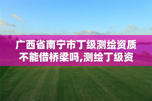 广西省南宁市丁级测绘资质不能借桥梁吗,测绘丁级资质申报条件。