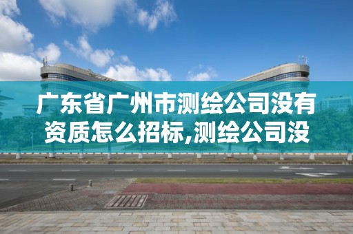 广东省广州市测绘公司没有资质怎么招标,测绘公司没有资质可以开发票吗。