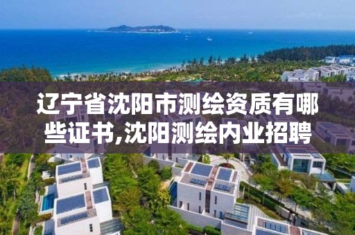 辽宁省沈阳市测绘资质有哪些证书,沈阳测绘内业招聘信息