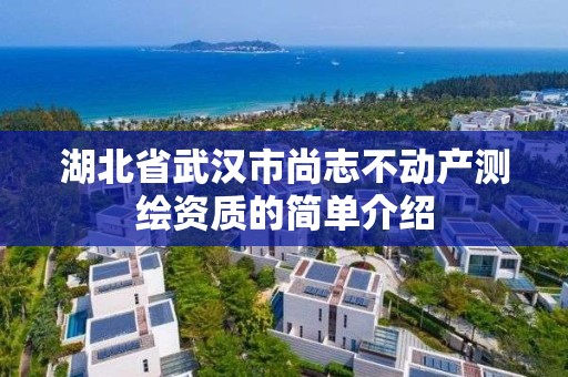 湖北省武汉市尚志不动产测绘资质的简单介绍